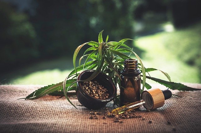 Le CBD : ce que vous devez savoir sur ce produit très populaire